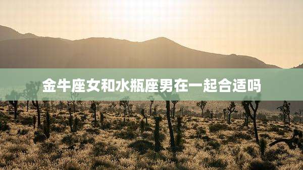 金牛座女和水瓶座男在一起合适吗