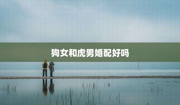 狗女和虎男婚配好吗