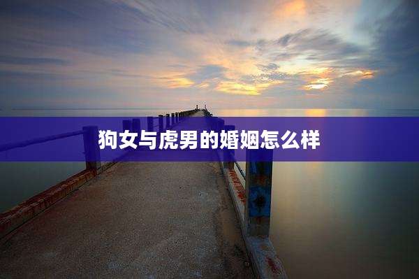 狗女与虎男的婚姻怎么样