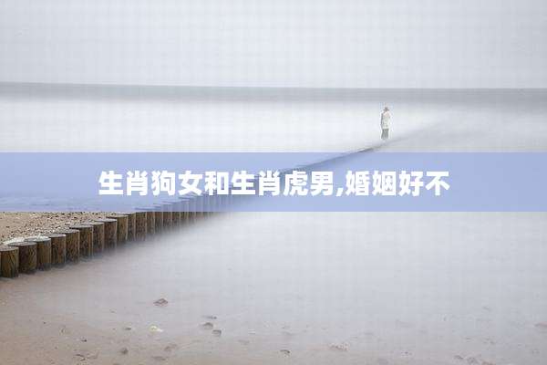 生肖狗女和生肖虎男,婚姻好不