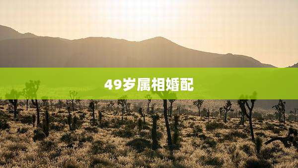 49岁属相婚配