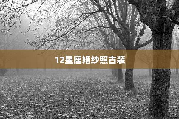12星座婚纱照古装