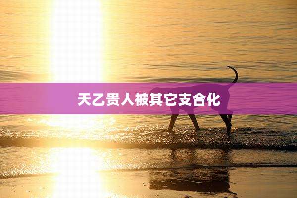 天乙贵人被其它支合化