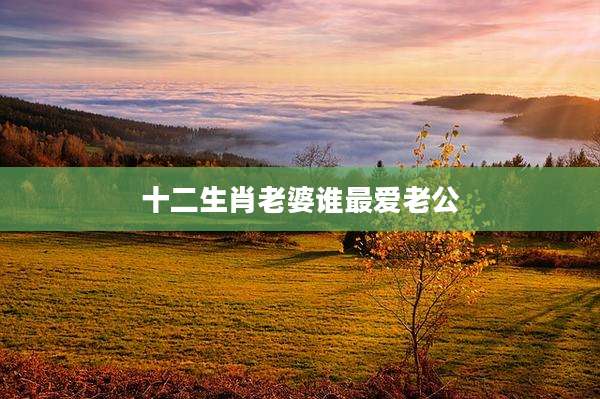 十二生肖老婆谁最爱老公
