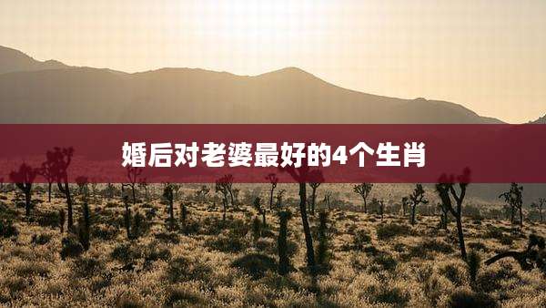 婚后对老婆最好的4个生肖