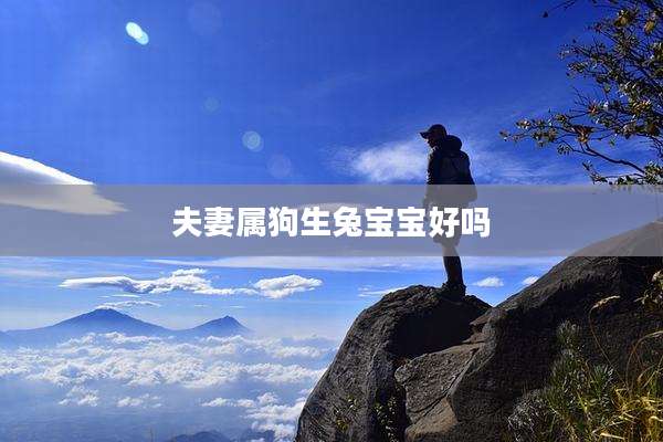 夫妻属狗生兔宝宝好吗