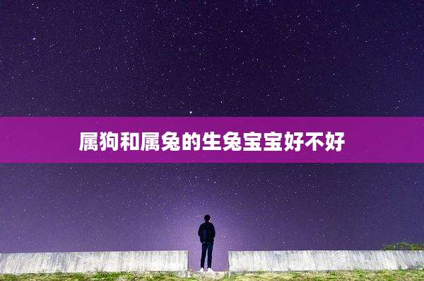 属狗和属兔的生兔宝宝好不好