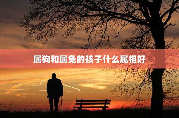 属狗和属兔的孩子什么属相好