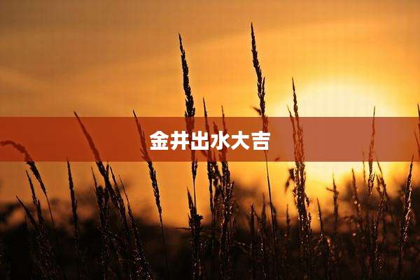 金井出水大吉