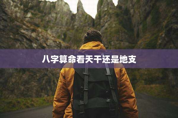 八字算命看天干还是地支