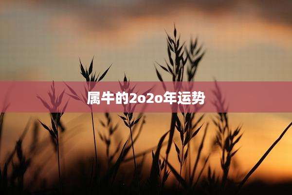 属牛的2o2o年运势