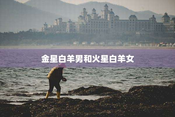 金星白羊男和火星白羊女
