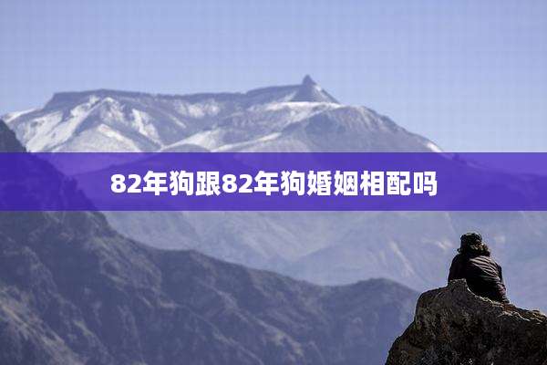 82年狗跟82年狗婚姻相配吗