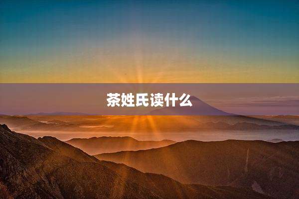 茶姓氏读什么