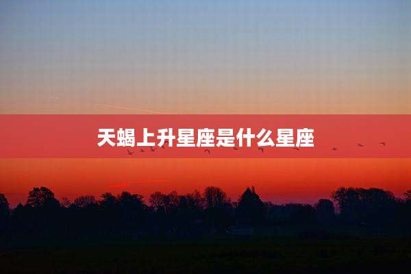 天蝎上升星座是什么星座