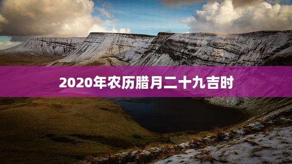 2020年农历腊月二十九吉时