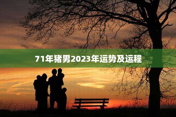 71年猪男2023年运势及运程