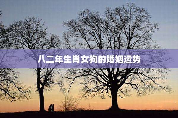 八二年生肖女狗的婚姻运势