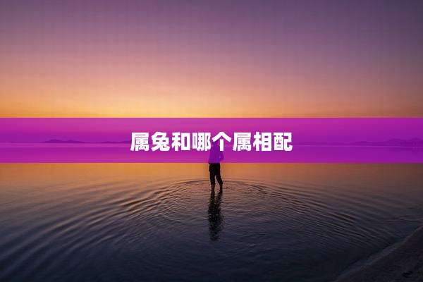 属兔和哪个属相配