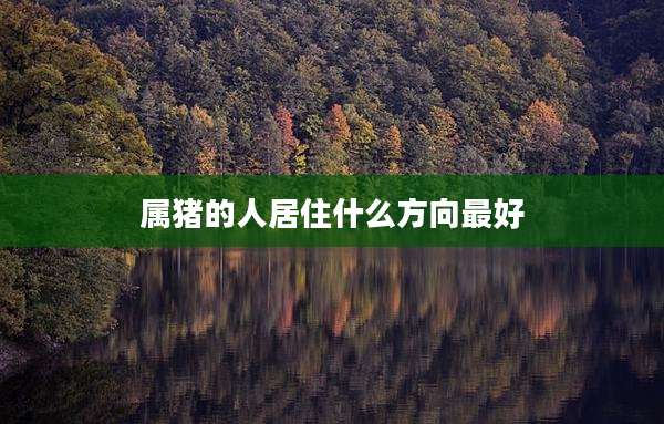属猪的人居住什么方向最好