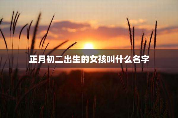 正月初二出生的女孩叫什么名字