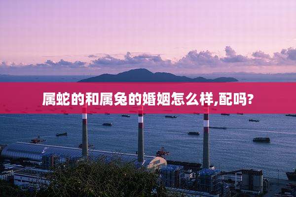 属蛇的和属兔的婚姻怎么样,配吗?