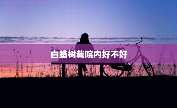 白蜡树栽院内好不好