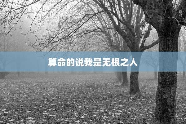 算命的说我是无根之人