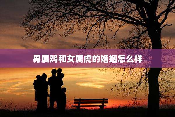 男属鸡和女属虎的婚姻怎么样