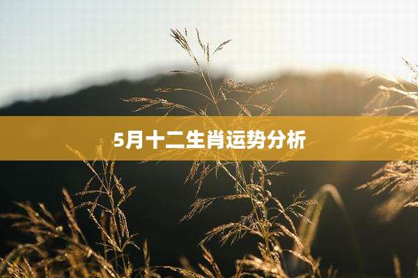 5月十二生肖运势分析