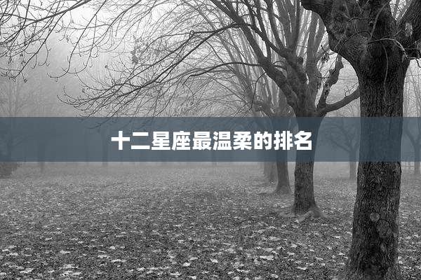十二星座最温柔的排名