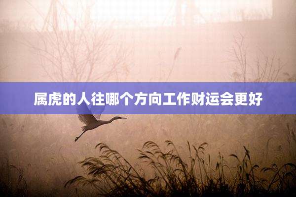 属虎的人往哪个方向工作财运会更好