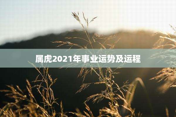 属虎2021年事业运势及运程