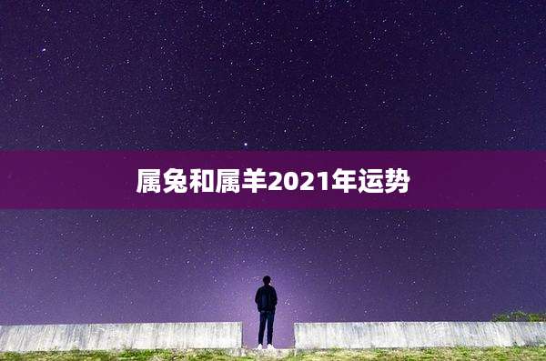 属兔和属羊2021年运势