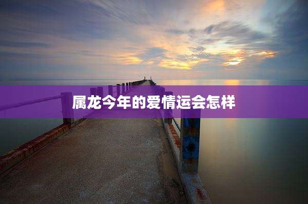 属龙今年的爱情运会怎样