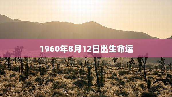 1960年8月12日出生命运
