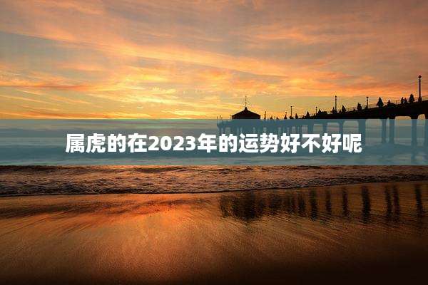 属虎的在2023年的运势好不好呢