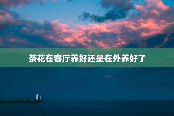 茶花在客厅养好还是在外养好了