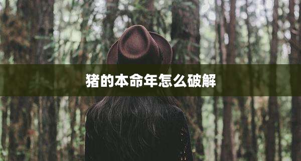 猪的本命年怎么破解
