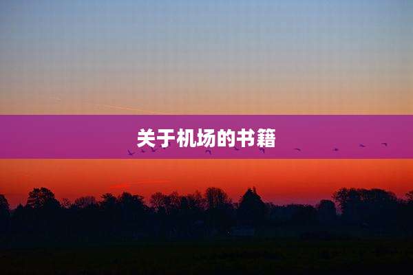 关于机场的书籍