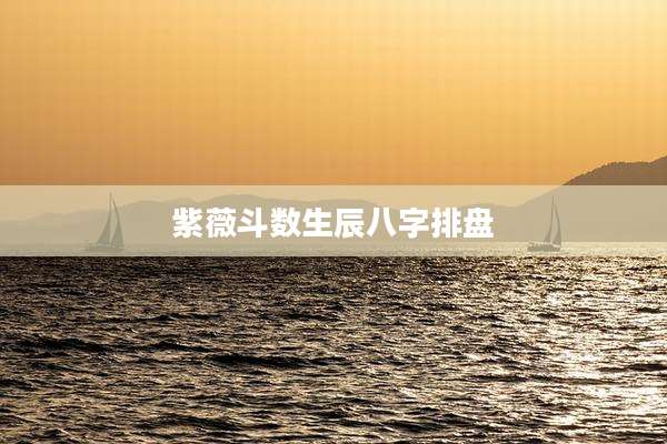紫薇斗数生辰八字排盘