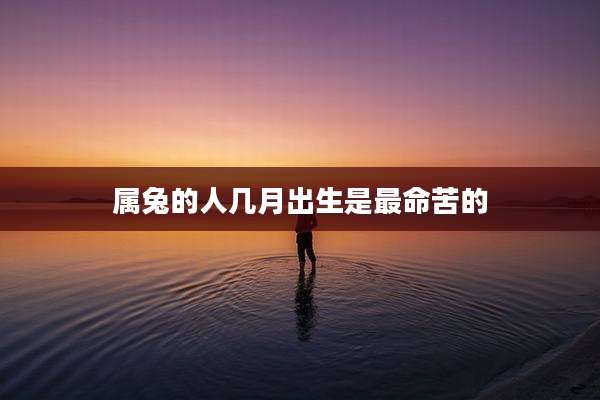 属兔的人几月出生是最命苦的