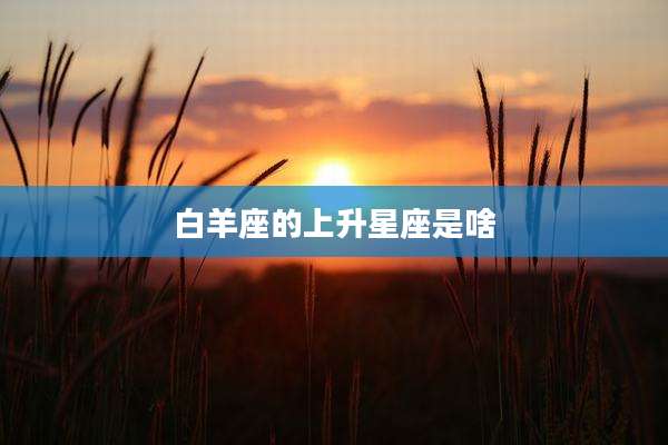 白羊座的上升星座是啥