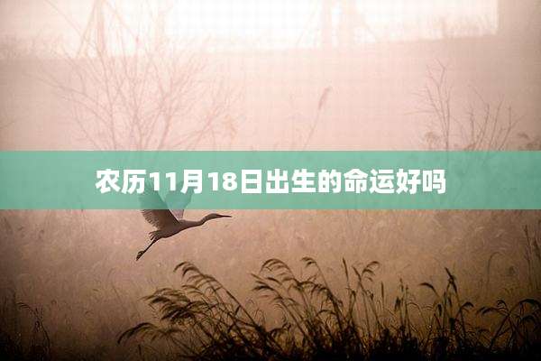 农历11月18日出生的命运好吗