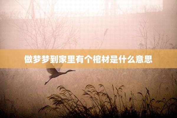 做梦梦到家里有个棺材是什么意思