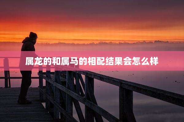 属龙的和属马的相配结果会怎么样