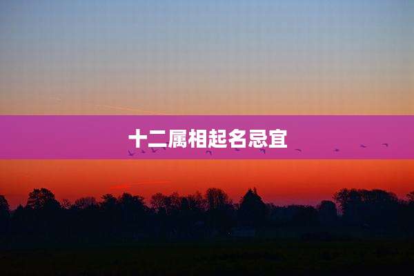 十二属相起名忌宜