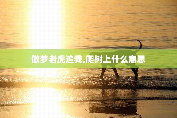 做梦老虎追我,爬树上什么意思