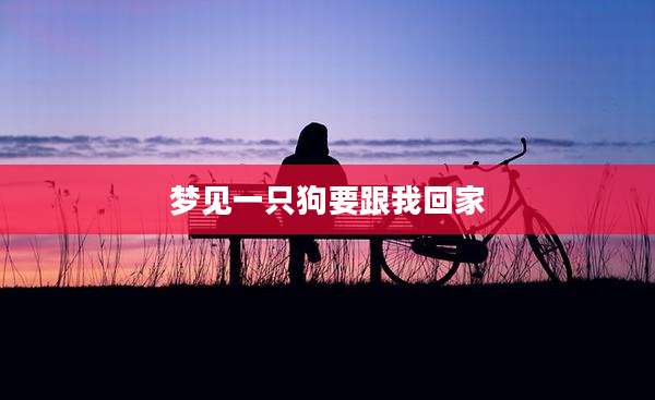 梦见一只狗要跟我回家