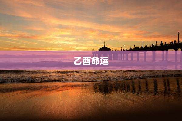 乙酉命运